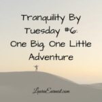 Tranquility By Tuesday #6: One Big, One Little Adventure
