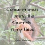 Concentration: Taming the Squirrels in My Head