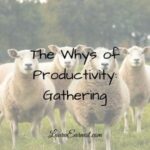 The Whys of Productivity: Gathering