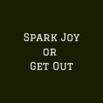 spark joy or get out