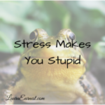Stress Makes You Stupid