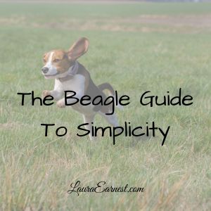 The Beagle Guide To Simplicity